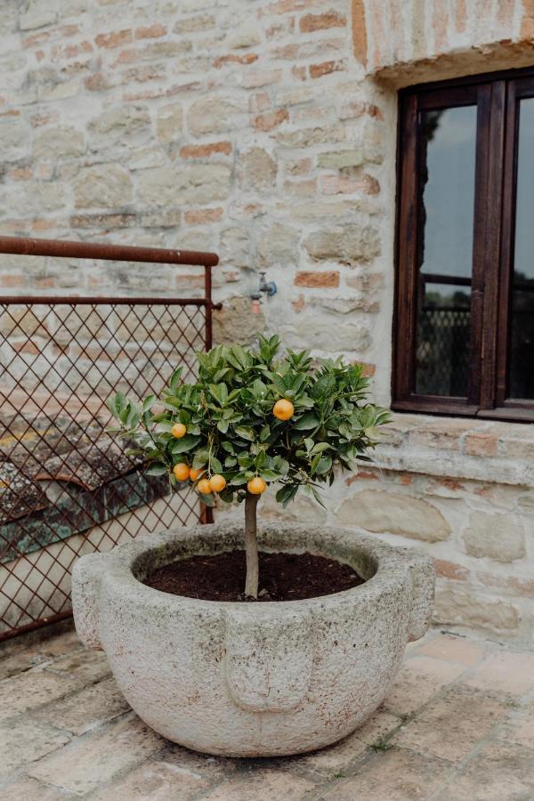 Agriturismo Qui Voglio Monte Roberto Kültér fotó